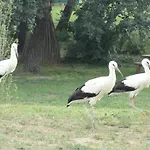 Sarudi Vendeghaz Pensjonat *