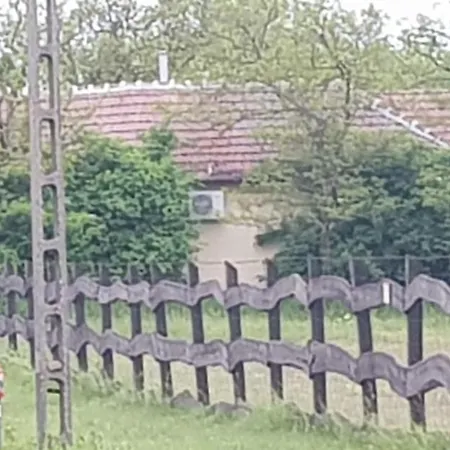 Sarudi Sarud