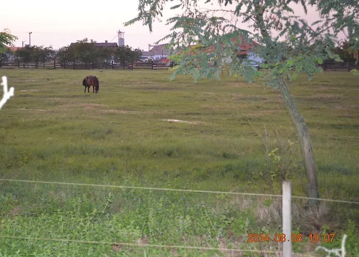 Maison d'hôtes Sarudi
