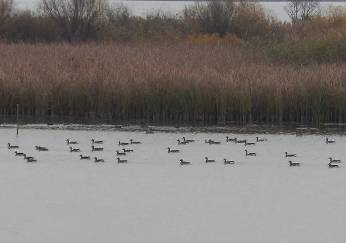 Maison d'hôtes Sarudi